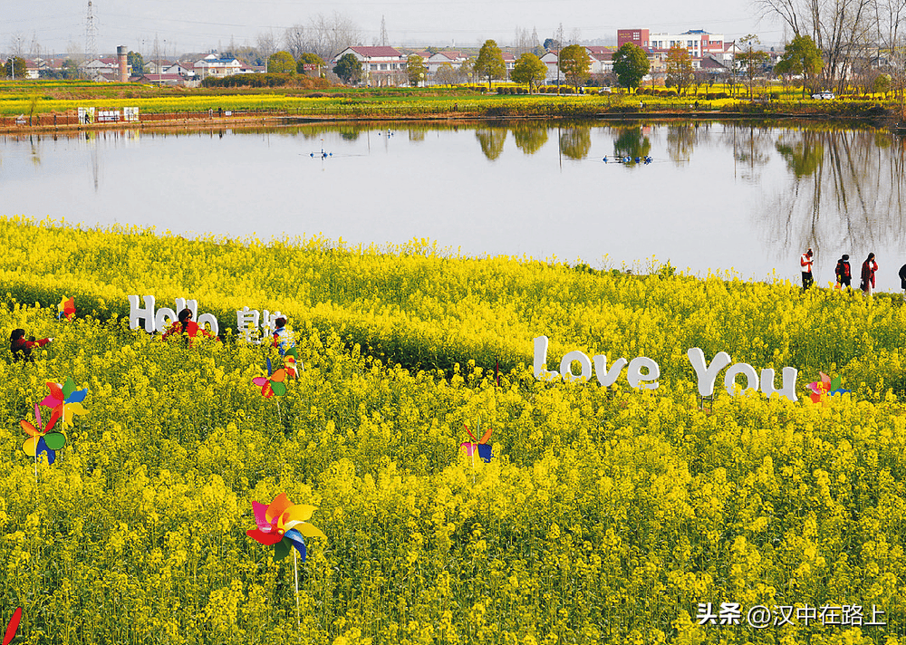 汉中油菜花高清图片