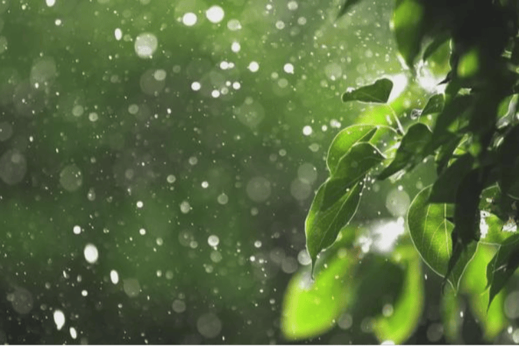 广州雷雨已至暴雨雷雨大风黄色预警生效中注意冰雹雷击