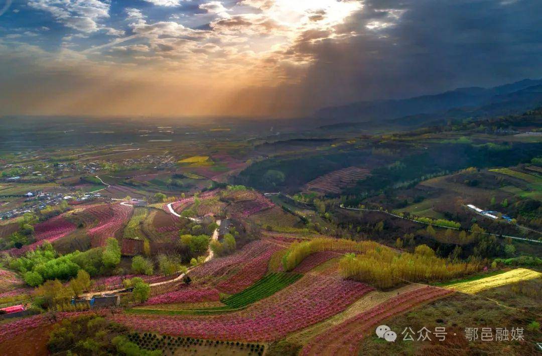 鄠邑柳泉桃花节即将开启与您一起桃醉春天里