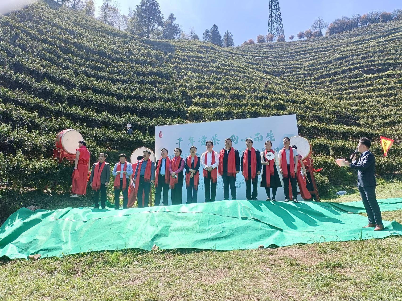 茶山醒采茶喽2024中国沩山第六届茶旅文化节开幕