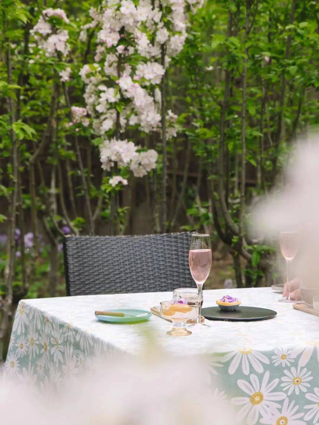 春日正当食朝青人的吃春指南来啦