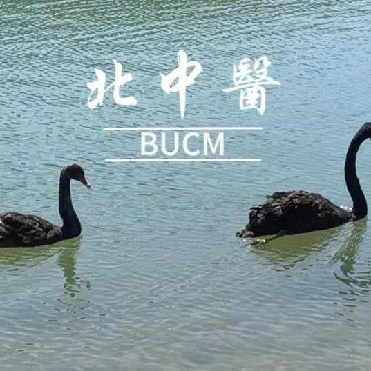 校会福利快来领取北中医专属ppt模板