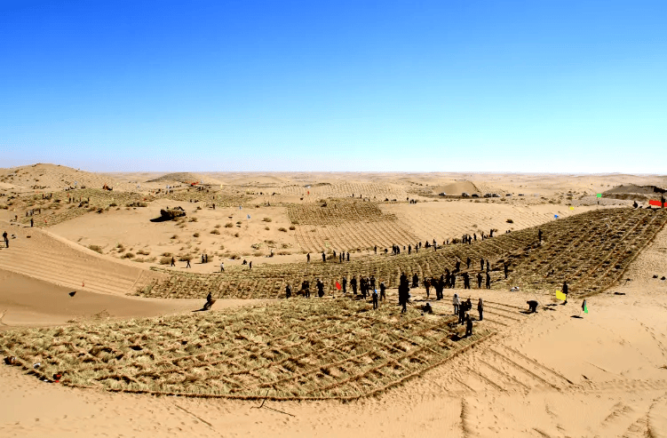 矢志向绿行 荒漠绘丹青——武威市防沙治沙工作综述_生态_治理_绿色