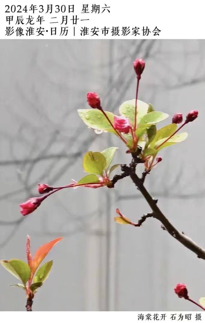 天气预报3月30日(周六)多云11~26℃空气质量:良身边事关于清退临时接