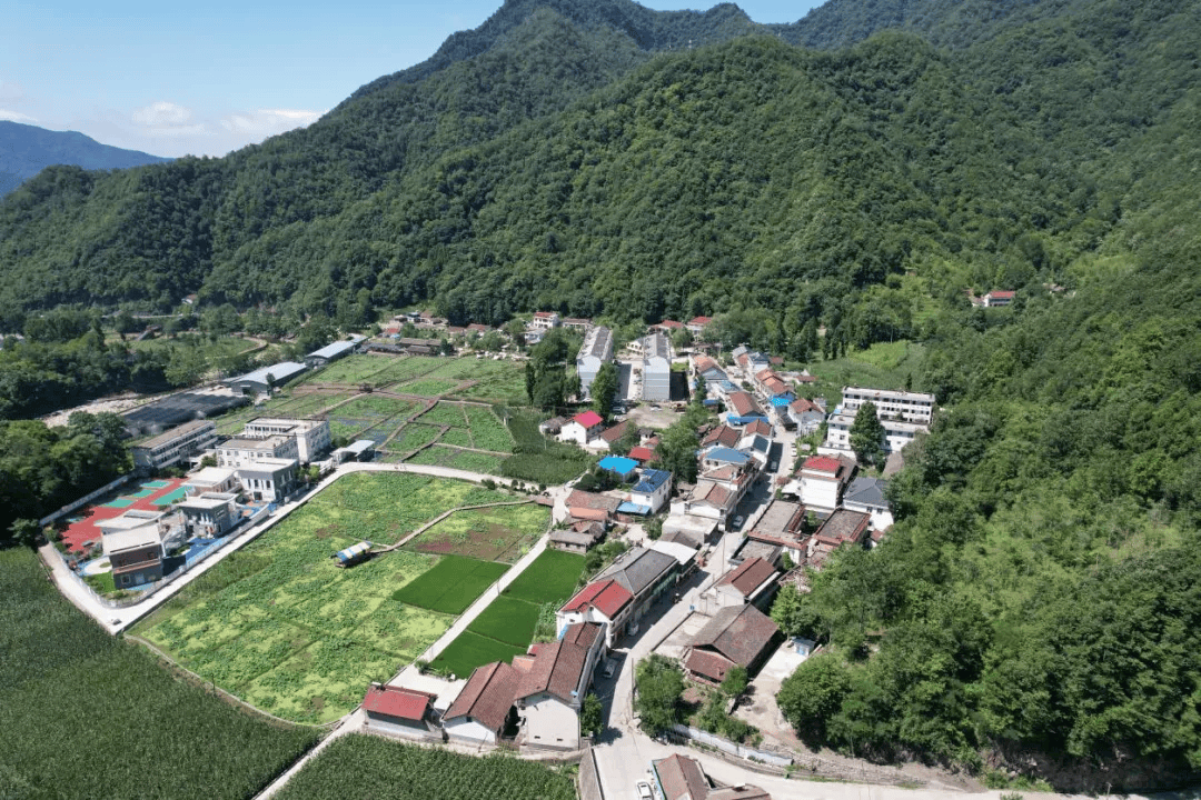 仙台坝镇聚力农村人居环境整治擦亮乡村幸福生活底色