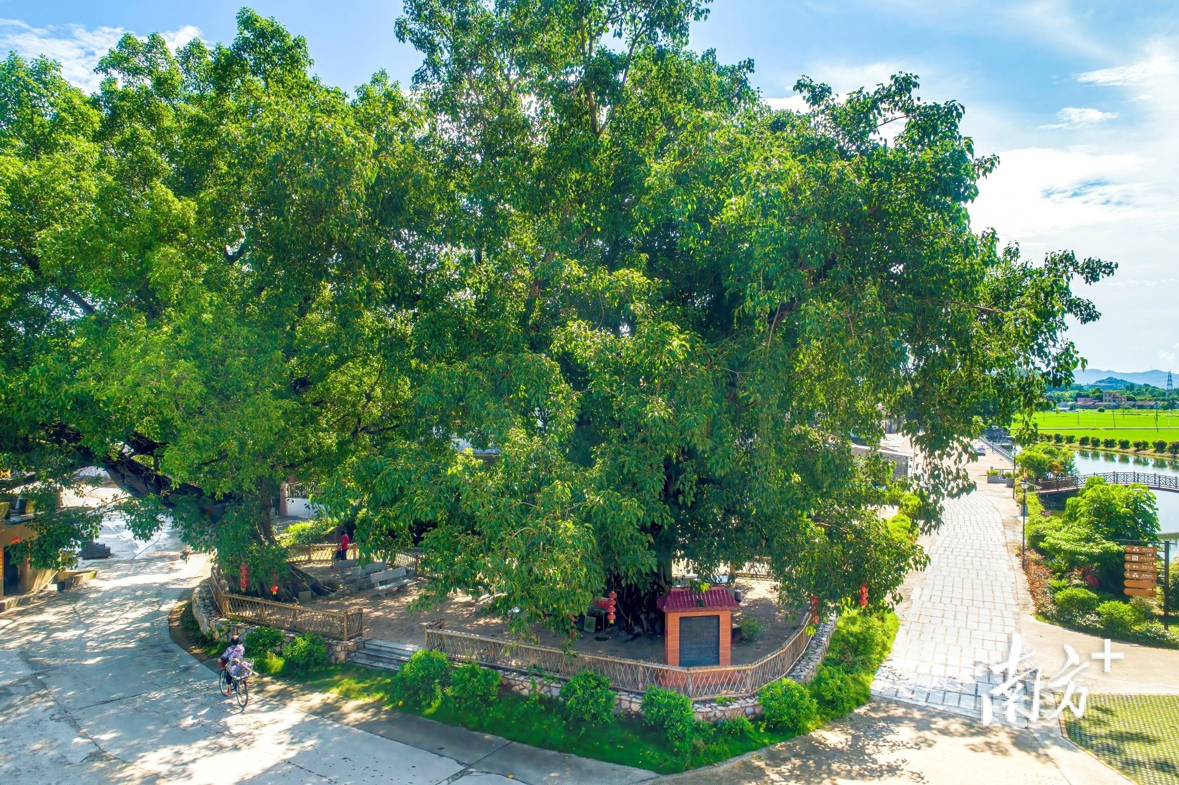 瑙鲁总统想去的台山是让无数人骄傲的故乡