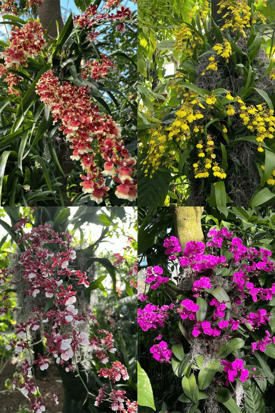 复活节周末玩什么帽子游行寻彩蛋还有必看花展