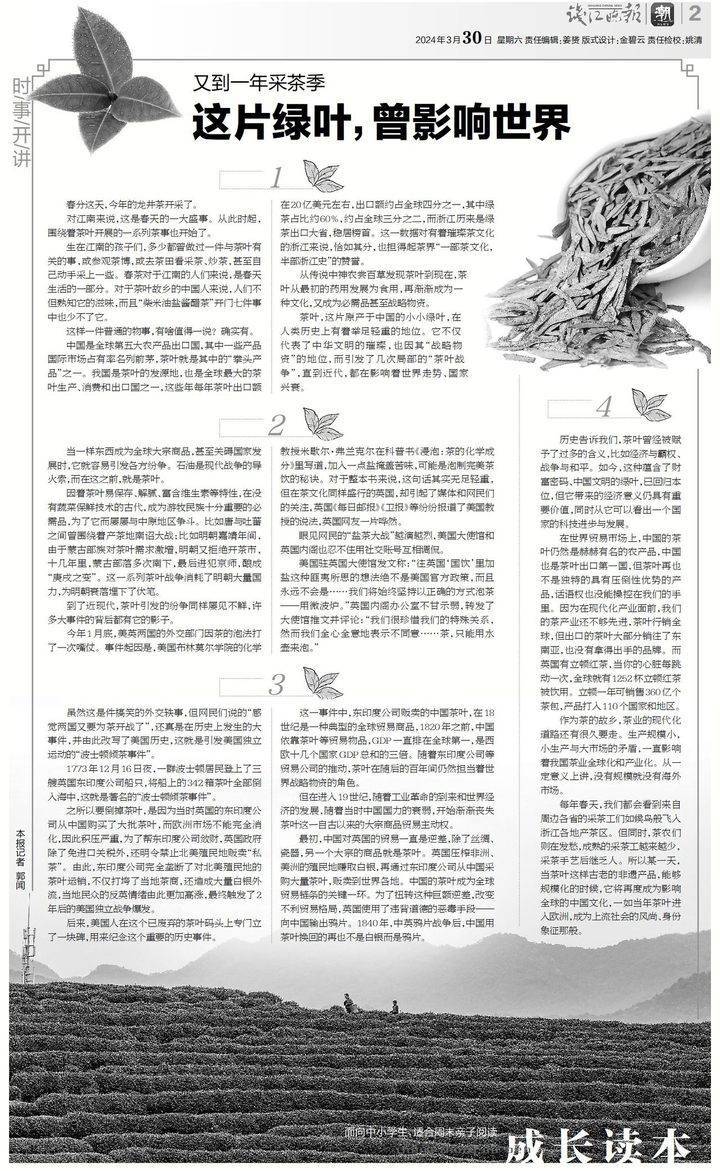 时事开讲第191期又到一年采茶季这片绿叶曾影响世界