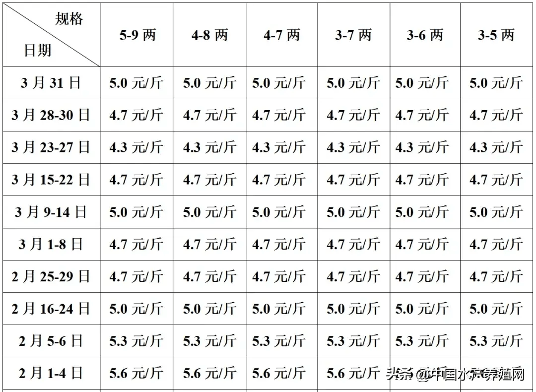 鲈鱼对虾也跌了!但泥鳅黄骨鲤鱼罗氏虾坚挺上涨_价格_广东_养殖户