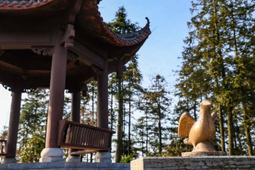 春来踏青古丈高望界山高有好景