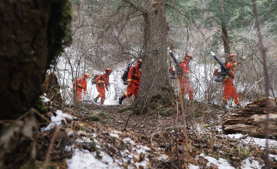 甘肃森林消防:严防森林火灾 守护平安清明_防火_宣传_兰山