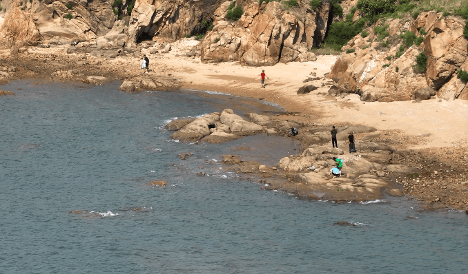 技巧_螃蟹_沙滩