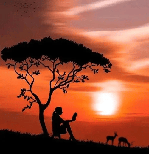 轮回_时光_岁月_生命