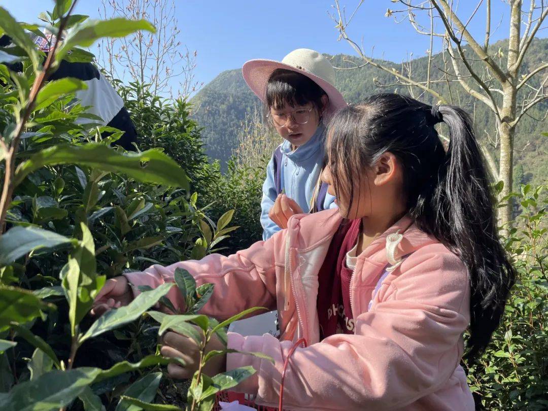 春季研学丨开化县林山乡中心小学走进春天的课堂