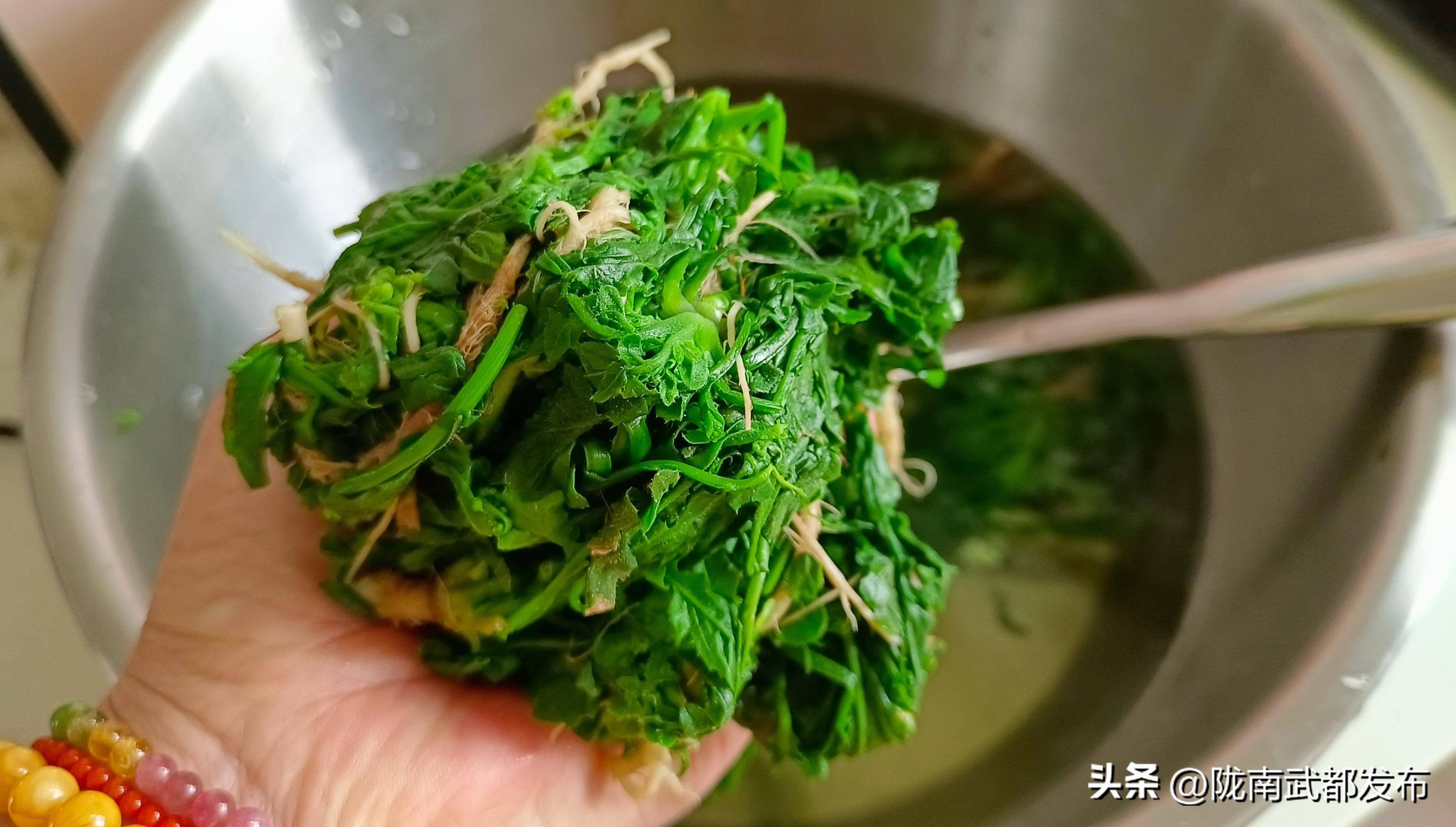 包苣荬菜饺子图片