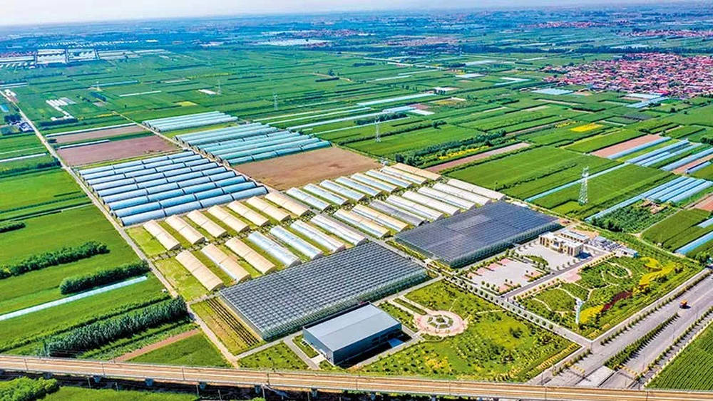 向新而行 | 看山西晋中如何科技赋能现代农业创新发展_农高区_示范