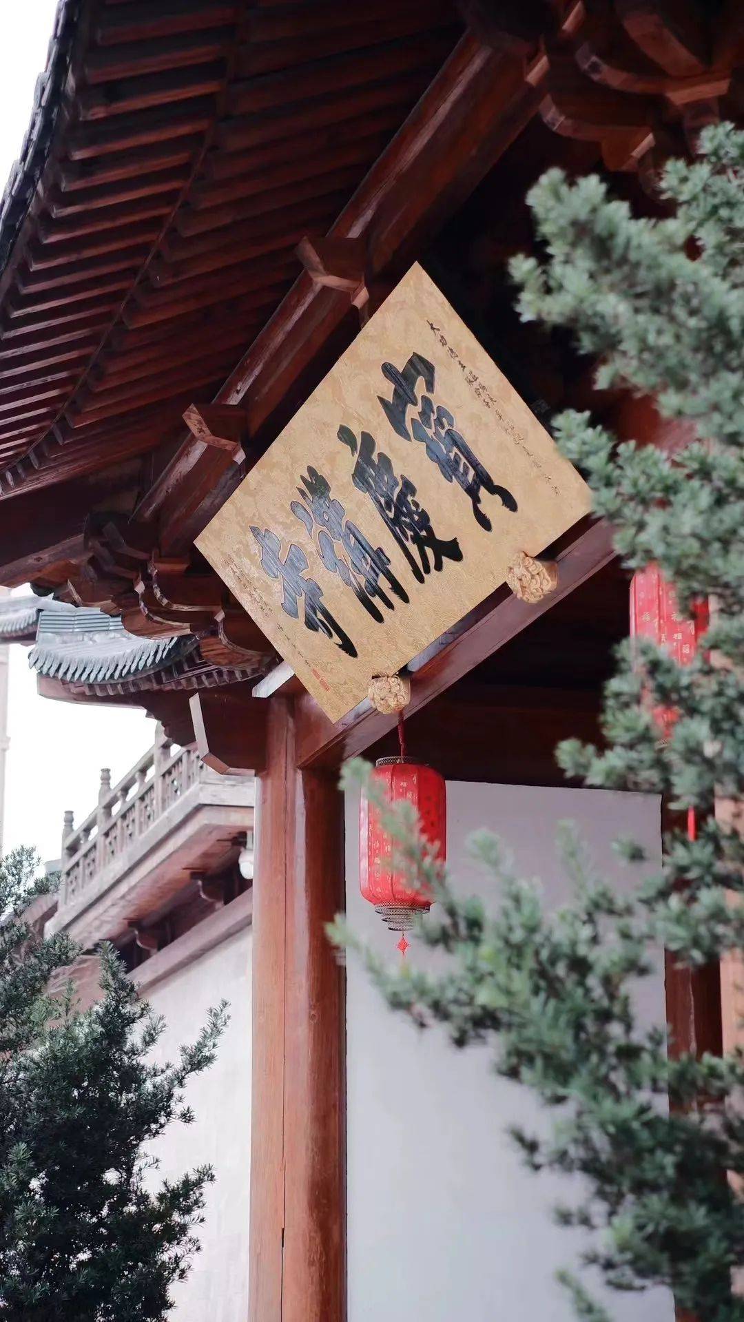 知否知否宝庆禅寺的西府海棠开啦