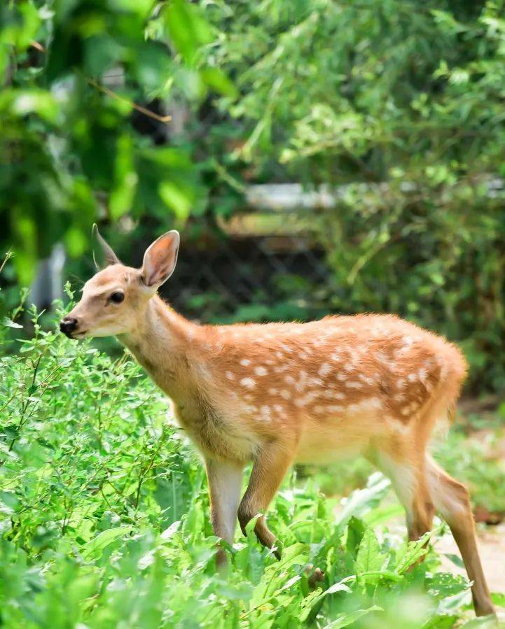 赏春花观鸟浪上春山向春天出发一起趣踏青