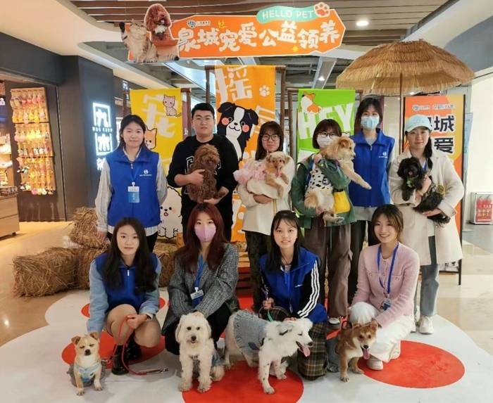 济南首家宠物公益领养中心对外开放_救助_文明_动物