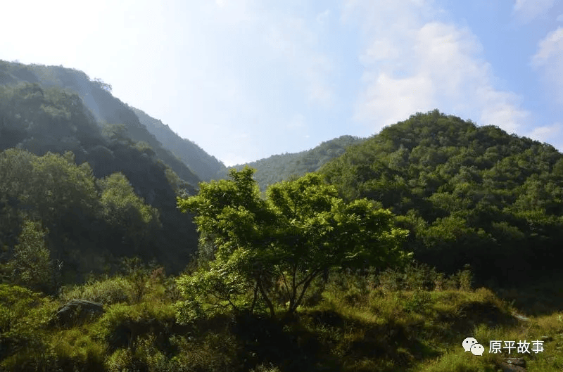 回顾原平屯瓦栈子沟黄土高原大氧吧