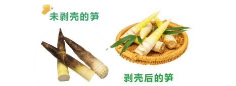 消费提示竹笋的消费提示