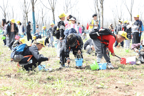 江苏东台黄海森林公园首届野菜节火爆启幕