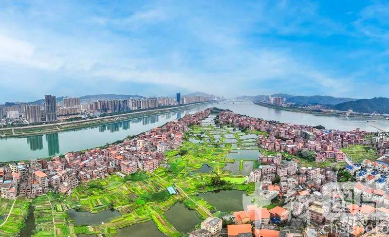 【中新社报道】长洲区:和美城乡春意浓_梧州市_广西_生态