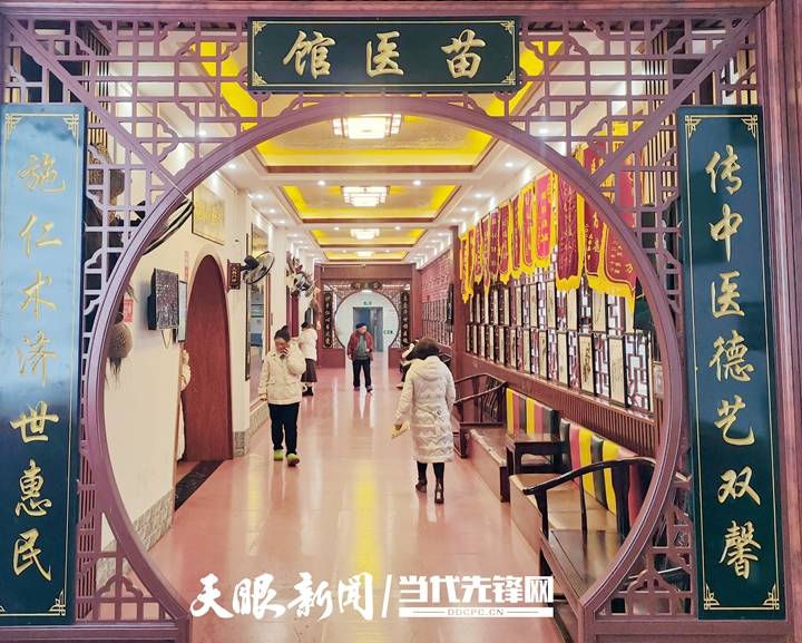 贵州松桃全力推进苗医苗药产业高质量发展