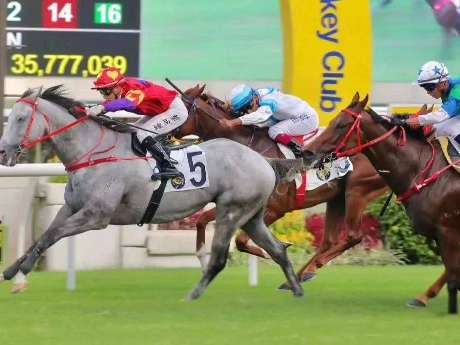 周末不加价062xx香港一日游港珠澳大桥沙田马场东港城等精华景点全