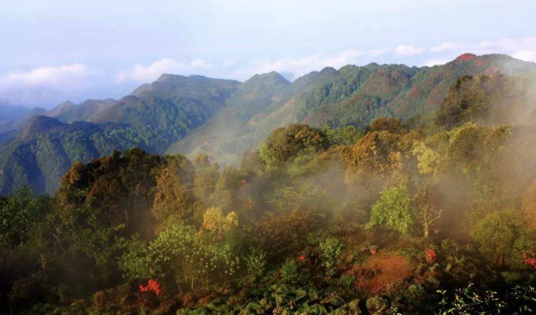 先生我出不了神山啦在山地公园省连公园你都走不出去不信你看