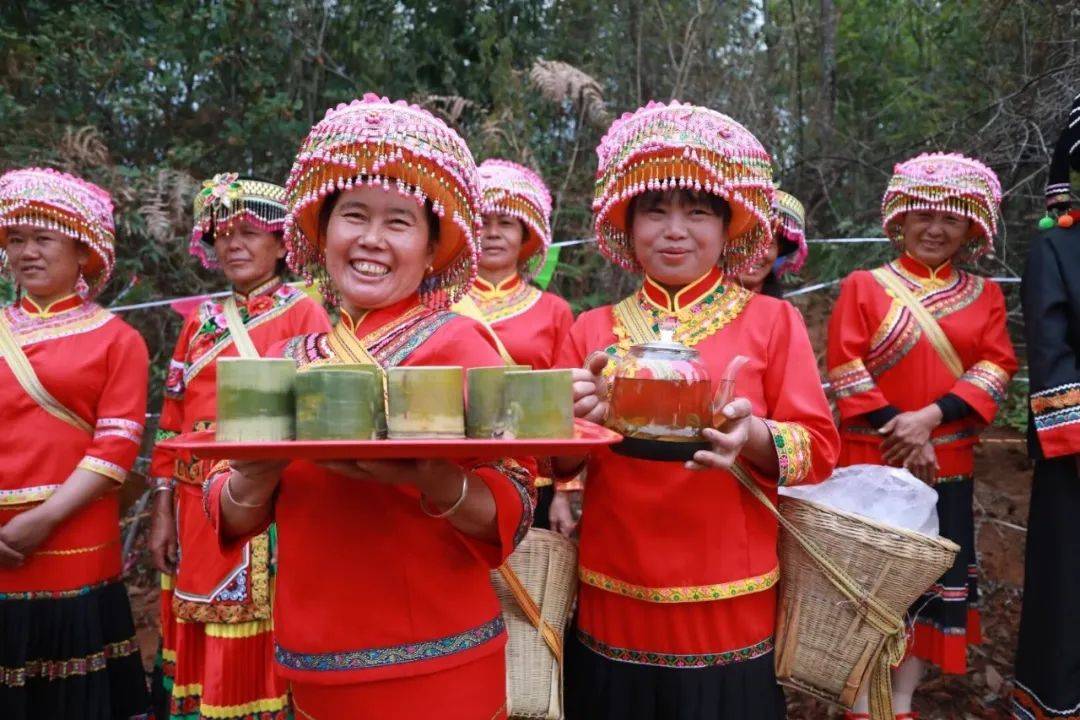 特色产业景谷举办第四届踏春寻茶彝家酸枣春茶开采节