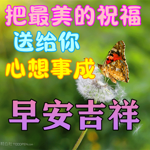 2024最新早上好表情包愿你快乐每一天幸福每一天