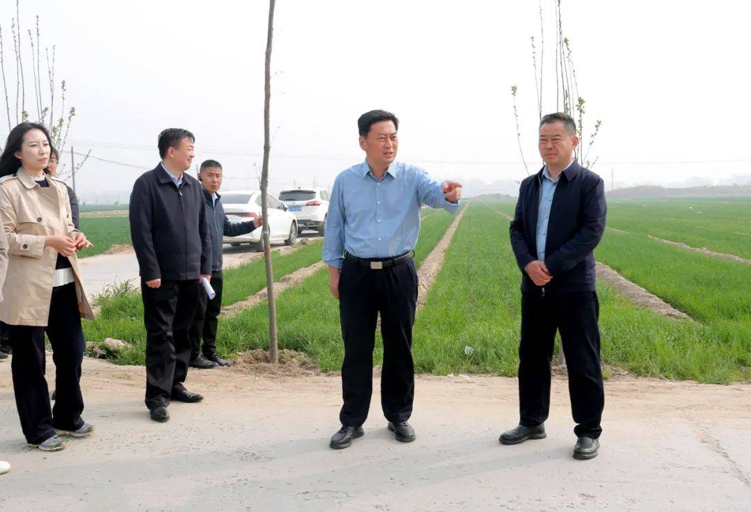 县委副书记县长赵丹调研高标准农田建设工作