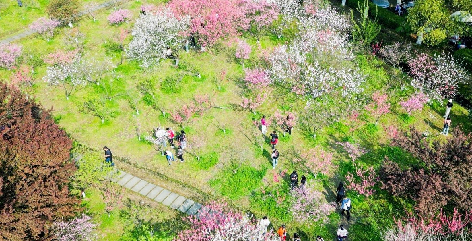 绍兴吼山风景区桃花节图片