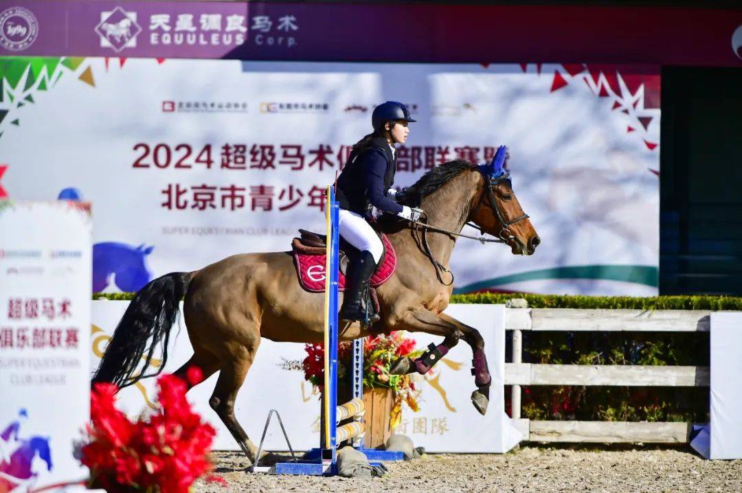 联赛战报丨2024超级马术俱乐部联赛北京天星调良马术第