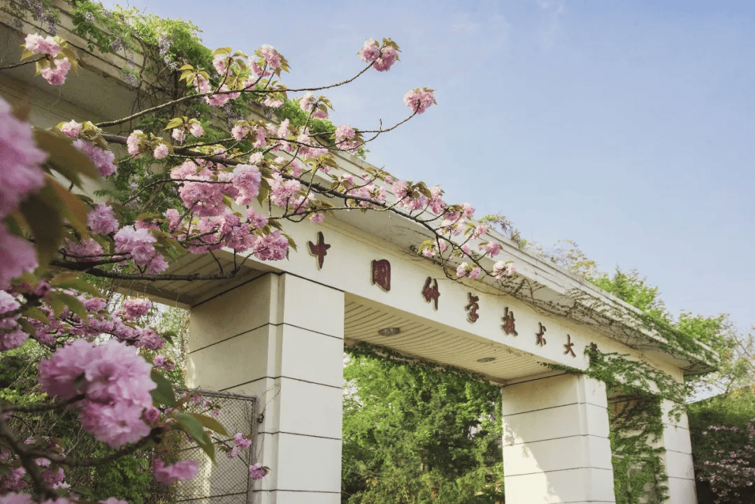 合肥"校花"登场_校园_高校_速度