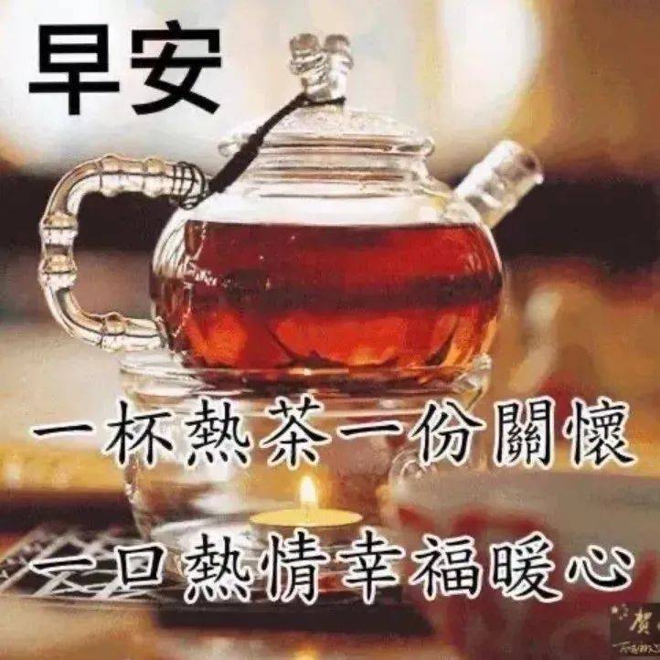 早上好问候语一杯热茶一份关怀