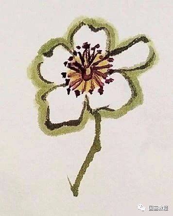 国画教程写意梨花的画法一学就会