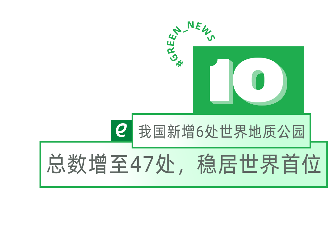 我的城市胃越来越难消化纤维了