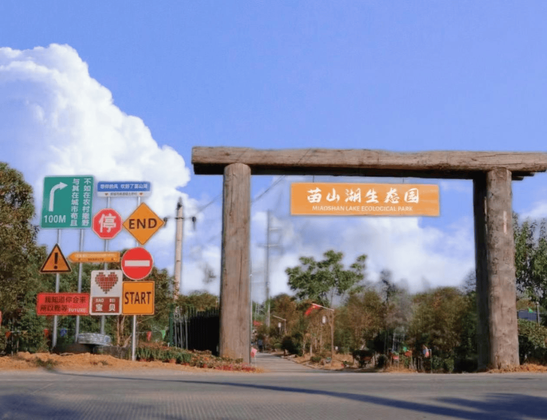 春游江淮请您来丨桐城市新渡镇春游出行团建攻略