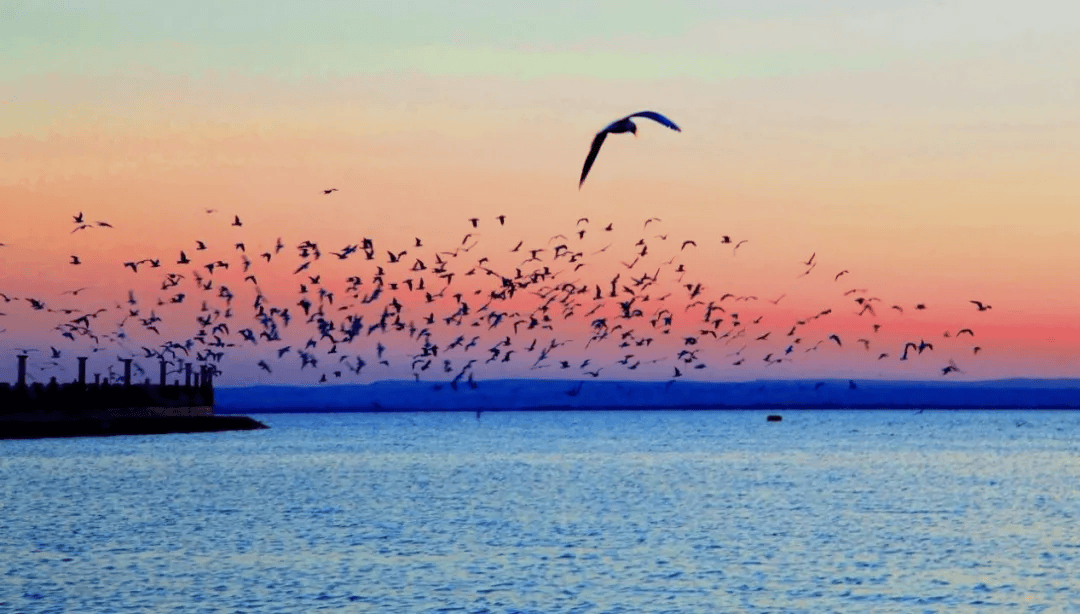 转扩!乌海湖景区开展专项整治_进行_游客_环境