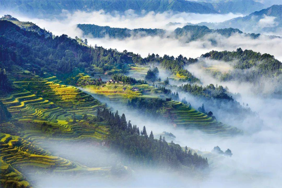 摄影:郁良权摄影:郁良权元宝山位于融水苗族自治县城北,方圆250平方