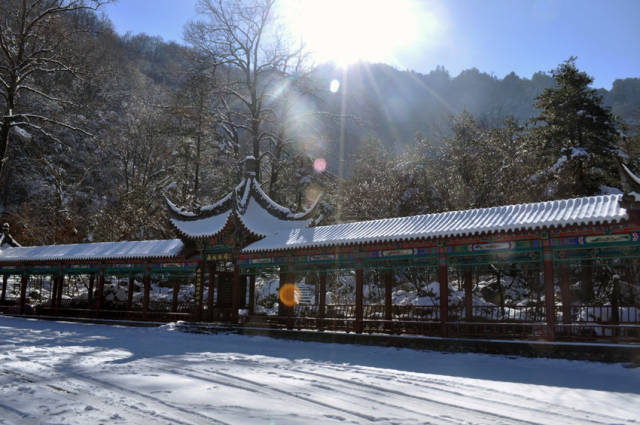 林荫蔽日 藤萝幔帐古老的青苔铺满林间小路溪流潺潺风声 鸟鸣声一首