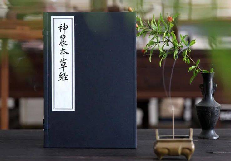 蹲点调研新赛道香产业背后的文化力更澎湃