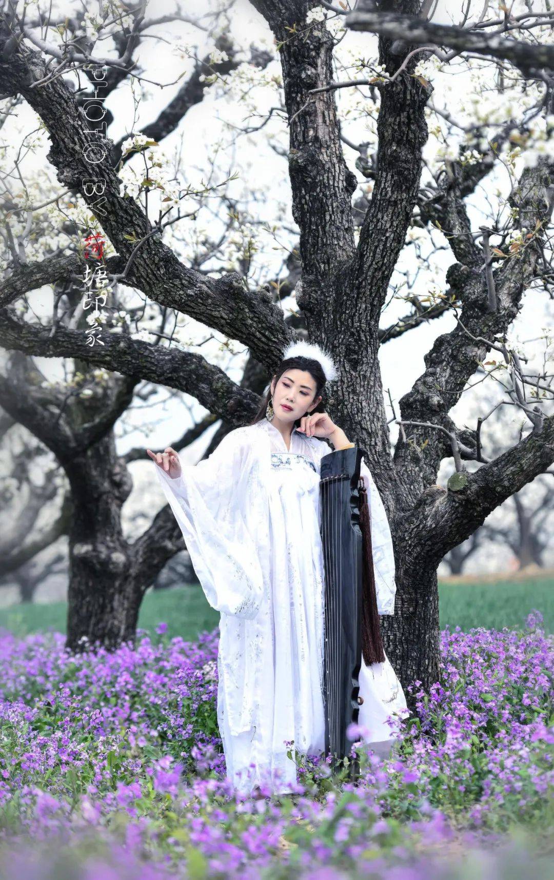 梨园琵琶行_梨花_玉女_姿容