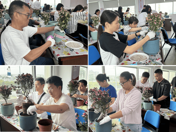 4月1日,中山职业技术学院附属幼儿园开展校园绿美行动,共种植扶桑花