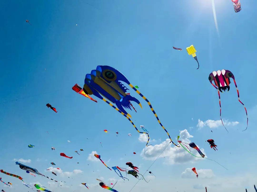 筝奇斗艳特技风筝节来啦感受这不寻常的春日追风时光