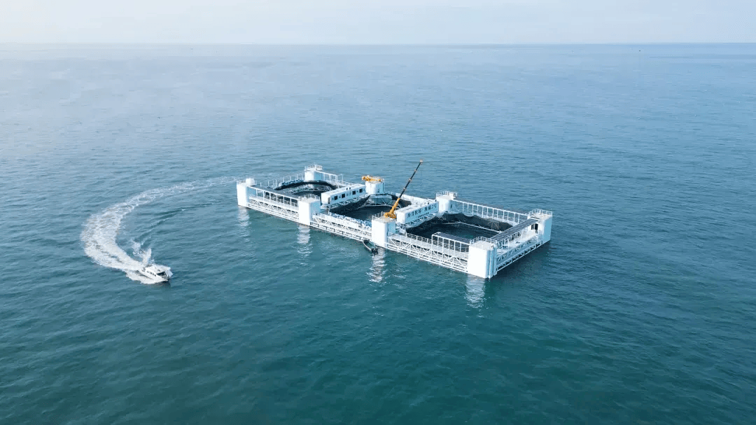 湛江市海洋与渔业局揭牌!