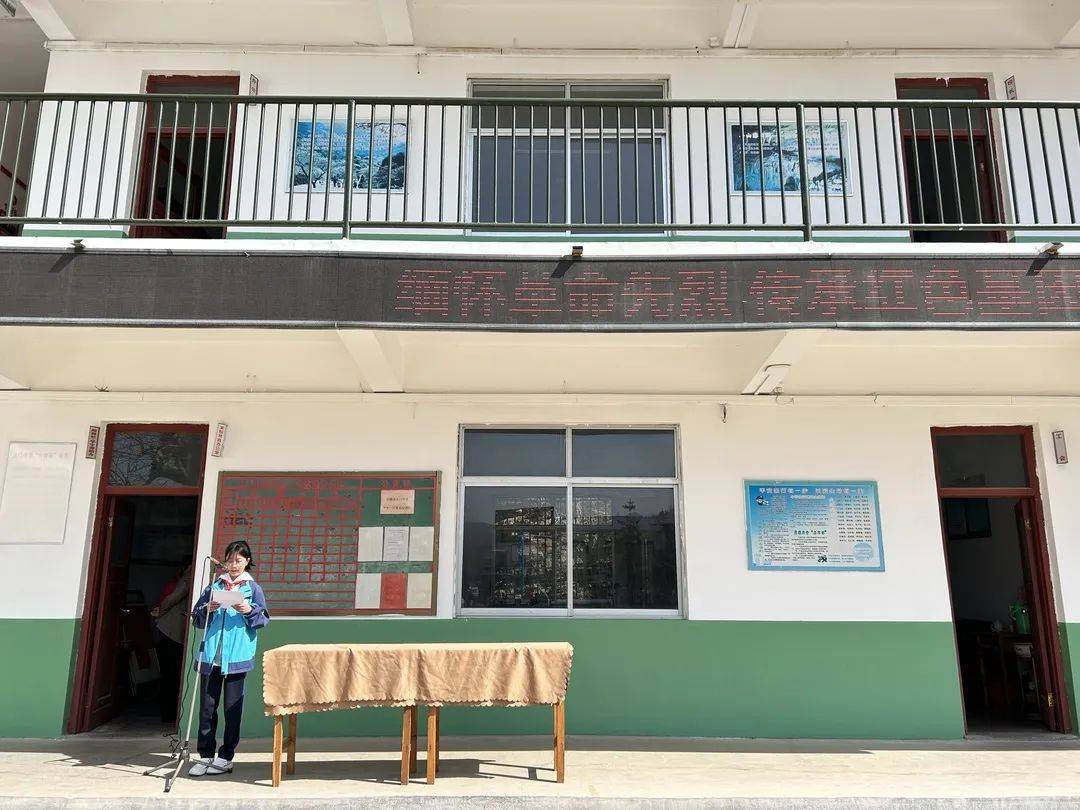 传统节日春草年年绿一岁一清明