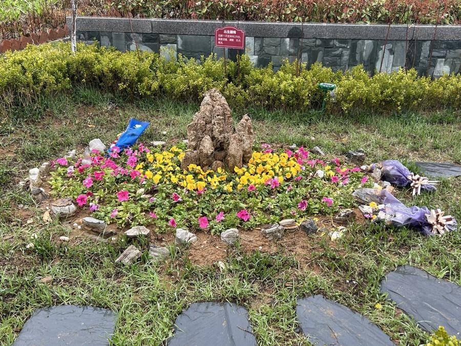 一线探访丨安眠于树下花草间回归自然的陆地生态葬你了解多少